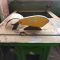 Cutting machine (Skersavimo staklės)