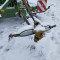 Krone  Swadro 1500