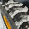Blanche TW 36