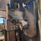 Board cutting machine (Dvipjūklės lentelių pjovimo staklės-Beikeris)
