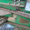 Wood ends trimming machine (Medienos galų apipjovimo staklės)