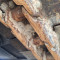 Terex TC 210 LC