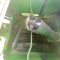 John Deere 9660 WTS
