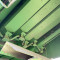 John Deere 9660 WTS