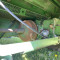 John Deere 9660 WTS