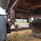 Water tank with chassis (vandens talpa su važiuokle)