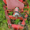 Kruviks KTT-2