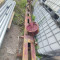 Wirth B1/A