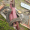 Wirth B1/A