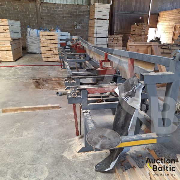 Plank transverse machine (Lentų skersavimo staklės)
