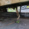 Mercedes-Benz Sprinter 316 CDI