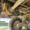 Manure spreader (Mėšlo kratytuvas)