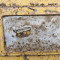 Caterpillar digging bucket (Caterpillar kasimo kaušas)