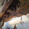 Liebherr PR - 731 CM