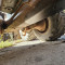 John Deere 1270 D