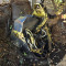 John Deere 1270 D