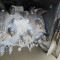 Wirtgen W50