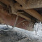 Iveco ML150E24