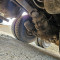 Scania R 124