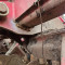 Horsch Joker 8 RT