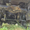 DAF with tank