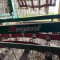 Regent Ökostar 900