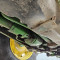 John Deere 5100 R