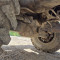 Doosan DX 170 W-5