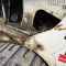 Bobcat T 250