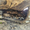 Bobcat T 250