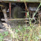 Volvo with milk tank