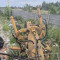Grader