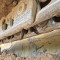 Caterpillar D 6 K