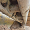 Caterpillar D 6 K
