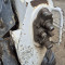 Bobcat T 590