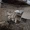 Tipper trailer