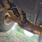 Liebherr L 531