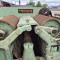 Multisaw Wurster & Dietz