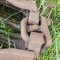 John Deere 1170 E