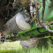 John Deere 6930 Premium