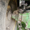 John Deere 6930 Premium
