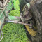 John Deere 6930 Premium