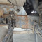 MAN TGM18.280