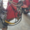 Schäffer 5680T