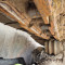 Liebherr PR 724 L GP