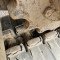 JCB 8052