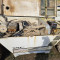 Terex TL 70 S
