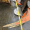 Tree shear