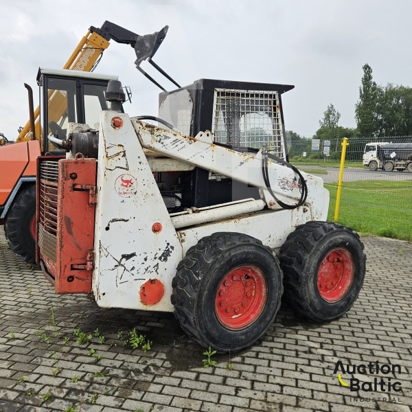 Bobcat