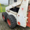 Bobcat
